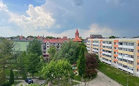 Jagiellonka